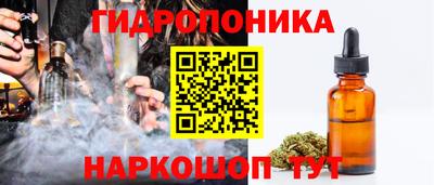 мдпв Брянск