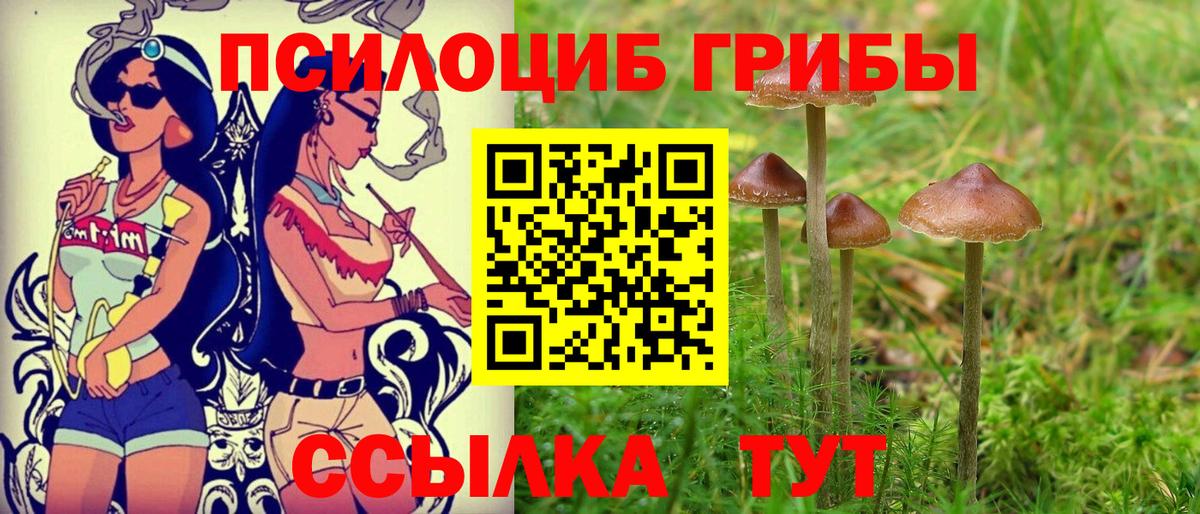 Псилоцибиновые грибы мицелий Грязи