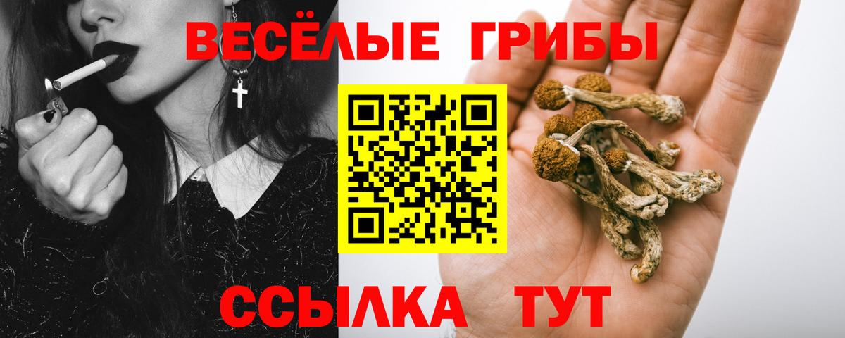 цены   Вход с VPN  Грязи  Псилоцибиновые грибы ЛСД  Галлюциногенные грибы мухоморы 